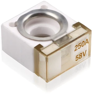 250Amp Marine Rated Battery Fuse 58V DC Terminal Block Fuse 250A for Cars, Boats, Winches 250Amp Marine Rated Battery Fuse 58V DC Terminal Block Fuse 250A for Cars, Boats, Winches
