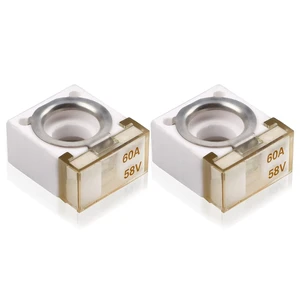 58V HABF Rated Battery Fuse 60A Terminal HABF Fuse 60A for Protection of Automobiles RVs Cranes Ships Charging Piles (Pack of 2) 58V HABF Rated Battery Fuse 60A Terminal HABF Fuse 60A for Protection of Automobiles RVs Cranes Ships Charging Piles (Pack of 2)