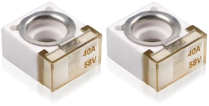 58V HABF Rated Battery Fuse 40A Terminal HABF Fuse 40A for Protection of Automobiles RVs Cranes Ships Charging Piles (Pack of 2) 58V HABF Rated Battery Fuse 40A Terminal HABF Fuse 40A for Protection of Automobiles RVs Cranes Ships Charging Piles (Pack of 2)