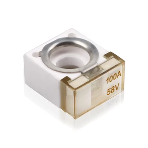1 Pcs 58V HABF Rated Battery Fuse 100A Terminal HABF Fuse 100A for Protection of Automobiles RVs Cranes Ships Charging Piles 1 Pcs 58V HABF Rated Battery Fuse 100A Terminal HABF Fuse 100A for Protection of Automobiles RVs Cranes Ships Charging Piles