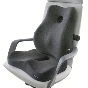 Sciatica Seat Cushion & Lumbar Pillow, Office Chair, Dark Grey | ity Memory Foam, Coccyx Cutout, Non-Slip Bottom, 2-Piece Set, Office, Car & Wheelchair, Back & Butt Support Sciatica Seat Cushion & Lumbar Pillow, Office Chair, Dark Grey | ity Memory Foam, Coccyx Cutout, Non-Slip Bottom, 2-Piece Set, Office, Car & Wheelchair, Back & Butt Support