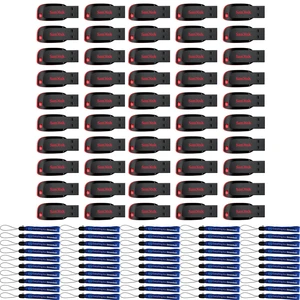 SanDisk Type A Flash Drive 16GB (50 Pack) Blade Thumb Drive SDCZ50-016G-B35 - Bundle with (50) Everything But Stromboli Lanyards SanDisk Type A Flash Drive 16GB (50 Pack) Blade Thumb Drive SDCZ50-016G-B35 - Bundle with (50) Everything But Stromboli Lanyards