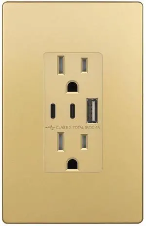 LIDER 5.0A 25W USB Wall Outlet, Duplex Tamper-Resistant Receptacle, USB Type-A, 2 USB Type-C Charging Ports, Interchangeable Face Cover, Modern Upgrade, UL Listed, Screwless Wall Plate Included, Gold LIDER 5.0A 25W USB Wall Outlet, Duplex Tamper-Resistant Receptacle, USB Type-A, 2 USB Type-C Charging Ports, Interchangeable Face Cover, Modern Upgrade, UL Listed, Screwless Wall Plate Included, Gold