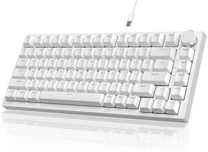 AK820 Mechanical Gaming Keyboard 75% Wired TKL Hot Swappable-White | Media Knob, Type-C, 5-Layer Noise Absorbing Foam, Gasket Mount, Ice Blue Backlight, PBT Keycaps, NKRO, Blue Switches, Custom AK820 Mechanical Gaming Keyboard 75% Wired TKL Hot Swappable-White | Media Knob, Type-C, 5-Layer Noise Absorbing Foam, Gasket Mount, Ice Blue Backlight, PBT Keycaps, NKRO, Blue Switches, Custom