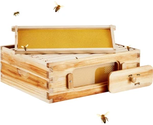 Bee Hive Medium Box Starter Kit, 100% Beeswax Coated Natural Cedar Wood, Langstroth Beehive Kit with 10 Frames and Foundations, Transparent Acrylic Bee Windows for Beginners and Pro Beekeepers Bee Hive Medium Box Starter Kit, 100% Beeswax Coated Natural Cedar Wood, Langstroth Beehive Kit with 10 Frames and Foundations, Transparent Acrylic Bee Windows for Beginners and Pro Beekeepers