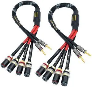 30ft 2packs 13awg Speaker Cable Premium Heavy Duty Braided Wire Dual Banana 2 Plug to 4 Banana Female Plugs Frequency Division 2 Banana Plugs - 4 Banana Plugs 1pair 30ft 2packs 13awg Speaker Cable Premium Heavy Duty Braided Wire Dual Banana 2 Plug to 4 Banana Female Plugs Frequency Division 2 Banana Plugs - 4 Banana Plugs 1pair