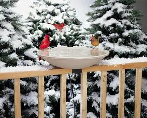 Allied Precision Industries (650) Heated Bird Bath with Mounting Bracket, Light Stone Color, 20" Diameter Allied Precision Industries (650) Heated Bird Bath with Mounting Bracket, Light Stone Color, 20" Diameter