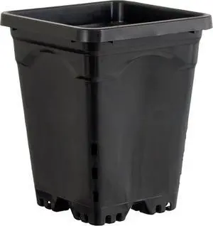 Active Aqua HG7X7SB, 7" X 7", Black Square Pot (Pack of 50) Active Aqua HG7X7SB, 7" X 7", Black Square Pot (Pack of 50)