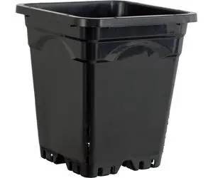 Active AQUA HG5X5SB, 5" X 5", Black 5" by 5" Square Tall Pot Case of 100, 7", 5" Active AQUA HG5X5SB, 5" X 5", Black 5" by 5" Square Tall Pot Case of 100, 7", 5"