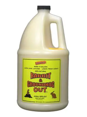 Rabbit & Groundhog Repellent: Rabbit Out 1 Gallon Concentrate Rabbit & Groundhog Repellent: Rabbit Out 1 Gallon Concentrate