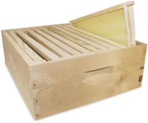 10-Frame Medium Super Kit, Fully Assembled 6" Super Box with 10 Durable Frames & Beeswax-Coated Plastic Foundation for Honey Storage, Beekeeping and Hive Expansion, Made in USA, Unpainted 10-Frame Medium Super Kit, Fully Assembled 6" Super Box with 10 Durable Frames & Beeswax-Coated Plastic Foundation for Honey Storage, Beekeeping and Hive Expansion, Made in USA, Unpainted