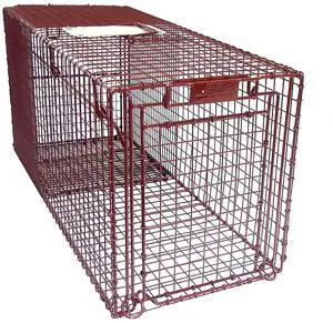 Tru Catch 30FCD Fat Cat Humane Live Animal Trap - Easy & Safe Catch & Release Animal Trap for Cats, Rabbits, & Other Small Animals - Durable & Humane TNR Trap - (30" L x 14" H x 12" W) Tru Catch 30FCD Fat Cat Humane Live Animal Trap - Easy & Safe Catch & Release Animal Trap for Cats, Rabbits, & Other Small Animals - Durable & Humane TNR Trap - (30" L x 14" H x 12" W)