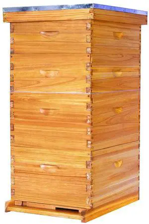 10 Frame Langstroth Beehive Beeswax Coated Complete Bee Hives Includes Bee Frames and Waxed Foundations (2 Deep Boxes & 2 Medium Boxes) 10 Frame Langstroth Beehive Beeswax Coated Complete Bee Hives Includes Bee Frames and Waxed Foundations (2 Deep Boxes & 2 Medium Boxes)