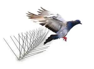 Stainless Steel Bird Spikes, 8-inch Extra-Wide Spikes, Bird Spikes for Pigeons and Other Small Birds, Easy to Install, Contains 2 ft. Strips, Covers 50 Linear Feet Area, EWS-50 Stainless Steel Bird Spikes, 8-inch Extra-Wide Spikes, Bird Spikes for Pigeons and Other Small Birds, Easy to Install, Contains 2 ft. Strips, Covers 50 Linear Feet Area, EWS-50