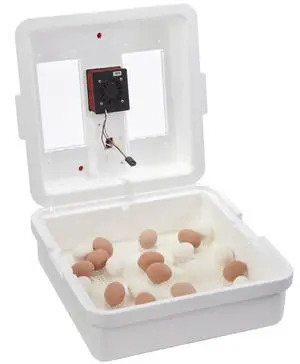 ® UL Circulated Air Incubator | Fits 41 Large Eggs | Chick Egg Hatching Incubator with Fan and Temperature and Humidity Control | Made in USA ® UL Circulated Air Incubator | Fits 41 Large Eggs | Chick Egg Hatching Incubator with Fan and Temperature and Humidity Control | Made in USA