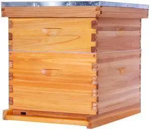 10 Frame Bee Hive,Beeswax Coated Beehive Kit for Bee Keeper,Complete Beehive Include 1 Deep Brood Bee Box and 1 Medium Bee Hive Box with Frames and Foundations 10 Frame Bee Hive,Beeswax Coated Beehive Kit for Bee Keeper,Complete Beehive Include 1 Deep Brood Bee Box and 1 Medium Bee Hive Box with Frames and Foundations