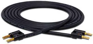 SKJ-6100BB Speaker Cable - Dual Banana to Same - 100 foot SKJ-6100BB Speaker Cable - Dual Banana to Same - 100 foot
