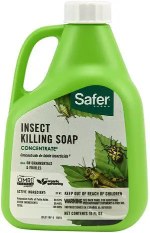 5118-6 Insect Killing Soap Concentrate - Insecticidal Soap for Plants - Kills Aphids, Whiteflies, Thrips, Spider Mites, and More - OMRI Listed for Organic Use - 6 Pack 5118-6 Insect Killing Soap Concentrate - Insecticidal Soap for Plants - Kills Aphids, Whiteflies, Thrips, Spider Mites, and More - OMRI Listed for Organic Use - 6 Pack