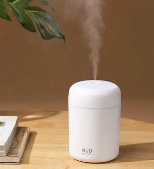 Portable Mini Humidifier, 300ml with Colorful LED Night Light, USB Personal Desktop Humidifier for Car Office Home Travel, Auto Shut-Off, 2 Mist Modes, Super Quiet(white) Portable Mini Humidifier, 300ml with Colorful LED Night Light, USB Personal Desktop Humidifier for Car Office Home Travel, Auto Shut-Off, 2 Mist Modes, Super Quiet(white)