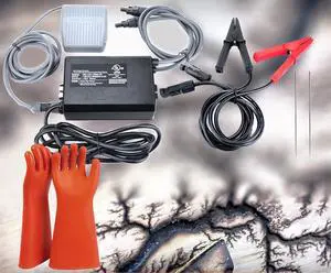 Lichtenberg Machine, Fractal Wood Burning Kit, 10KV 30mA Electric Wood Burner with Transformer, Rods, Clamps & Foot Pedal, with HIgh Voltage Insulating Gloves Lichtenberg Machine, Fractal Wood Burning Kit, 10KV 30mA Electric Wood Burner with Transformer, Rods, Clamps & Foot Pedal, with HIgh Voltage Insulating Gloves
