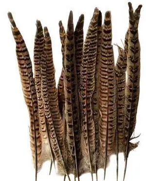 24 Natural Pheasant Feather Cat Toys, Wooden Handle Interactive Pet Teasers, Fun Exercise and Play Tools for Cats Inside 24 Natural Pheasant Feather Cat Toys, Wooden Handle Interactive Pet Teasers, Fun Exercise and Play Tools for Cats Inside