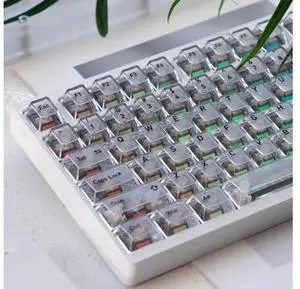 GUUKEY Frosted Translucent Keycaps Set, White Crystal Clear 115 Keys Cherry Profile Top Frosted 4-Sided High Transparency for 60-104 Key MX Switch Mechanical Keyboards (White) GUUKEY Frosted Translucent Keycaps Set, White Crystal Clear 115 Keys Cherry Profile Top Frosted 4-Sided High Transparency for 60-104 Key MX Switch Mechanical Keyboards (White)