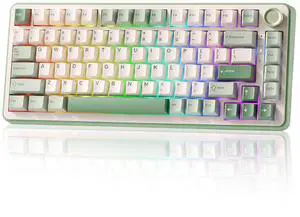 B75 PRO 75% Wireless Mechanical Keyboard(Matcha Green,Cocoa V2) B75 PRO 75% Wireless Mechanical Keyboard(Matcha Green,Cocoa V2)
