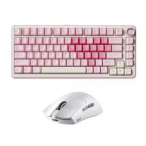 B75 PRO Wireless Mechanical Keyboard (Pink, Cocoa Cream V2 Switch) M2 Dual 8K Wireless Gaming Mouse (White) B75 PRO Wireless Mechanical Keyboard (Pink, Cocoa Cream V2 Switch) M2 Dual 8K Wireless Gaming Mouse (White)