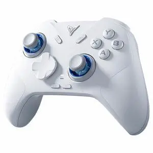FLYDIGI Direwolf 4 PC Controller Forceflex Joystick Forceswitch Triggers | 1000Hz Report Rate, Grip Vibration, 2 Extra Customizable Bottons, 6-Axis Gyro, 800mAh Battery FLYDIGI Direwolf 4 PC Controller Forceflex Joystick Forceswitch Triggers | 1000Hz Report Rate, Grip Vibration, 2 Extra Customizable Bottons, 6-Axis Gyro, 800mAh Battery