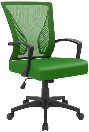Office Chair Ergonomic Computer Desk Mesh Chair Mid Back Swivel Lumbar Support with Armrest (1, Green) Office Chair Ergonomic Computer Desk Mesh Chair Mid Back Swivel Lumbar Support with Armrest (1, Green)