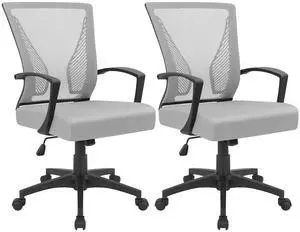 Office Chair Ergonomic Computer Desk Mesh Chair Mid Back Swivel Lumbar Support with Armrest (2, Gray) Office Chair Ergonomic Computer Desk Mesh Chair Mid Back Swivel Lumbar Support with Armrest (2, Gray)