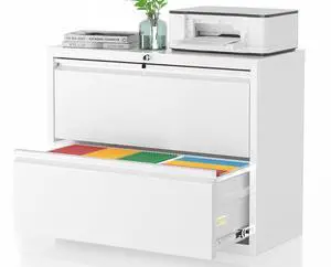 Lateral File Cabinet, 2 Drawer File Cabinet with Lock, White Filing Cabinets for Home Office, Metal File Cabinet for Hanging Files/Letters/Legal/A4(2Drawer/White) Lateral File Cabinet, 2 Drawer File Cabinet with Lock, White Filing Cabinets for Home Office, Metal File Cabinet for Hanging Files/Letters/Legal/A4(2Drawer/White)