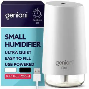 Portable Cool Mist Humidifiers for Bedroom & Office - Ultrasonic Humidifier for Home, Baby, Small Room with Auto Shut Off, 250ML Easy to Clean Water Tank Portable Cool Mist Humidifiers for Bedroom & Office - Ultrasonic Humidifier for Home, Baby, Small Room with Auto Shut Off, 250ML Easy to Clean Water Tank