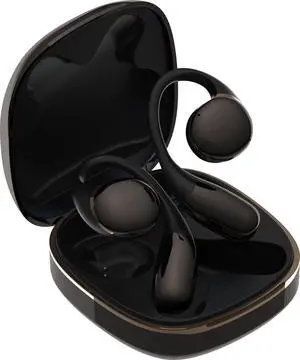 AVIOT TE-H1 Open-Ear Earphones, Non-occluding Design, Ear-Hook Style, Hi-Res Audio and LDAC, Sound Leakage Reduction Mode, Up to 42 Hours of Playback, Lightweight Design (Silver) (Black) AVIOT TE-H1 Open-Ear Earphones, Non-occluding Design, Ear-Hook Style, Hi-Res Audio and LDAC, Sound Leakage Reduction Mode, Up to 42 Hours of Playback, Lightweight Design (Silver) (Black)