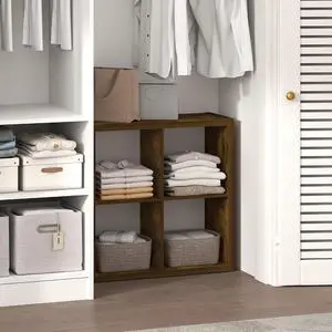 Cubic Closet Organizers and Storage, 4-Cube Closet Organizer, Open Shelf Closet Storage, Extra Thick Frame for Wardrobe, Bedroom, Living Room, Amber Pine Cubic Closet Organizers and Storage, 4-Cube Closet Organizer, Open Shelf Closet Storage, Extra Thick Frame for Wardrobe, Bedroom, Living Room, Amber Pine