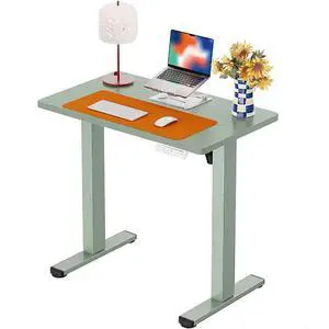 ErGear Height Adjustable Electric Standing Desk, 32 x 19 Inches Sit Stand up Desk, Memory Computer Home Office Desk,Green ErGear Height Adjustable Electric Standing Desk, 32 x 19 Inches Sit Stand up Desk, Memory Computer Home Office Desk,Green