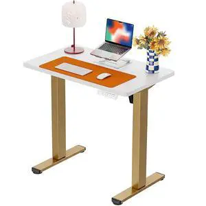 ErGear Height Adjustable Electric Standing Desk, 32 x 19 Inches Sit Stand up Desk, Memory Computer Home Office Desk, White+Gold ErGear Height Adjustable Electric Standing Desk, 32 x 19 Inches Sit Stand up Desk, Memory Computer Home Office Desk, White+Gold