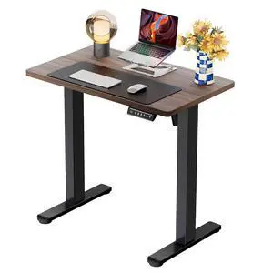 ErGear Height Adjustable Electric Standing Desk, 32 x 19 Inches Sit Stand up Desk, Memory Computer Home Office Desk, Dark Walnut ErGear Height Adjustable Electric Standing Desk, 32 x 19 Inches Sit Stand up Desk, Memory Computer Home Office Desk, Dark Walnut