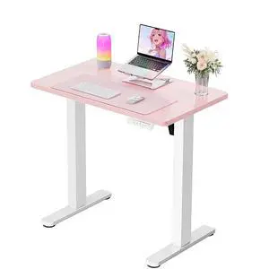 ErGear Height Adjustable Electric Standing Desk, 32 x 19 Inches Sit Stand up Desk, Memory Computer Home Office Desk, Pink ErGear Height Adjustable Electric Standing Desk, 32 x 19 Inches Sit Stand up Desk, Memory Computer Home Office Desk, Pink