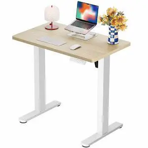 ErGear Height Adjustable Electric Standing Desk, 32 x 19 Inches Sit Stand up Desk, Memory Computer Home Office Desk, Natural ErGear Height Adjustable Electric Standing Desk, 32 x 19 Inches Sit Stand up Desk, Memory Computer Home Office Desk, Natural