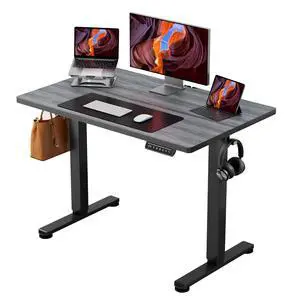 ErGear Height Adjustable Electric Standing Desk, 40 x 24 Inches Sit Stand up Desk, Memory Computer Home Office Desk, Grey ErGear Height Adjustable Electric Standing Desk, 40 x 24 Inches Sit Stand up Desk, Memory Computer Home Office Desk, Grey