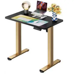 ErGear Height Adjustable Electric Standing Desk, 32 x 19 Inches Sit Stand up Desk, Memory Computer Home Office Desk, Black+Gold ErGear Height Adjustable Electric Standing Desk, 32 x 19 Inches Sit Stand up Desk, Memory Computer Home Office Desk, Black+Gold