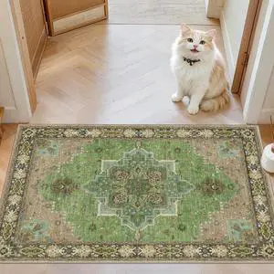 AMADA HOMEFURNISHING 2x3 Washable Entry Rug, Vintage Distress Print Pattern Carpet Small Rugs for Entryway Kitchen Bathroom Door Mat Indoor Entrance, Green AMADA HOMEFURNISHING 2x3 Washable Entry Rug, Vintage Distress Print Pattern Carpet Small Rugs for Entryway Kitchen Bathroom Door Mat Indoor Entrance, Green