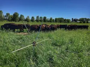 Gallagher Tumblewheel | Portable Electric Fence Wheel for Efficient Rotational Grazing and Quick Fence Line Adjustment Gallagher Tumblewheel | Portable Electric Fence Wheel for Efficient Rotational Grazing and Quick Fence Line Adjustment