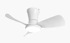 27 inch Flush Mount Ceiling Fans with Lights Small Ceiling Fan with Light and Remote 3CCT Dimmable Low Profile Ceiling Fans with Light for Bedroom Kitchen,Reversible 27 inch Flush Mount Ceiling Fans with Lights Small Ceiling Fan with Light and Remote 3CCT Dimmable Low Profile Ceiling Fans with Light for Bedroom Kitchen,Reversible