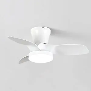 Modern Low Profile Ceiling Fan with Lights 28 inch Ceiling Fan With Light and Remote, Reversible DC Motor, 3CCT, 6 speed, Noiseless, Small Flush Mount Ceiling Fans for Bedroom Living Room Modern Low Profile Ceiling Fan with Lights 28 inch Ceiling Fan With Light and Remote, Reversible DC Motor, 3CCT, 6 speed, Noiseless, Small Flush Mount Ceiling Fans for Bedroom Living Room
