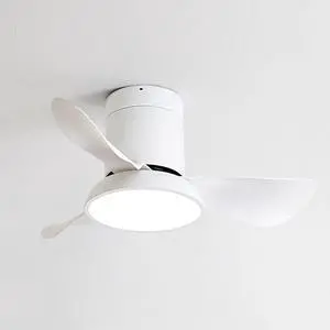 28 inch Small Flush Mount Ceiling Fans with Lights Remote Low Profile Modern Ceiling Fans with Lights, 3CCT, Reversible, 6 Speed, Noiseless, for Patio Kitchen Bedroom 28 inch Small Flush Mount Ceiling Fans with Lights Remote Low Profile Modern Ceiling Fans with Lights, 3CCT, Reversible, 6 Speed, Noiseless, for Patio Kitchen Bedroom