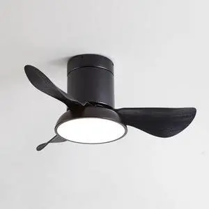 28 inch Small Flush Mount Ceiling Fans with Lights Remote Low Profile Modern Ceiling Fans with Lights, 3CCT, Reversible, 6 Speed, Noiseless, for Patio Kitchen Bedroom 28 inch Small Flush Mount Ceiling Fans with Lights Remote Low Profile Modern Ceiling Fans with Lights, 3CCT, Reversible, 6 Speed, Noiseless, for Patio Kitchen Bedroom