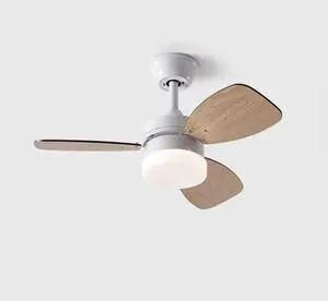 30 inch Ceiling Fan with Lights Ceiling Fans with Lights Remote 3 Speed 3 Color Noiseless Indoor Ceiling Fans 3-Blade Ceiling-Mounted Ceiling Fans for Bedroom Living Room Kids Room 30 inch Ceiling Fan with Lights Ceiling Fans with Lights Remote 3 Speed 3 Color Noiseless Indoor Ceiling Fans 3-Blade Ceiling-Mounted Ceiling Fans for Bedroom Living Room Kids Room