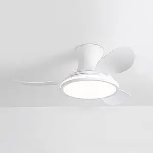 Flush Mount 36 inch Ceiling Fans with Lights Modern Low Profile Ceiling Fan with Light and Remote, Reversible DC Motor, 6 Speed, 3CCT, Mute Ceiling Fans for Bedroom Living Room Flush Mount 36 inch Ceiling Fans with Lights Modern Low Profile Ceiling Fan with Light and Remote, Reversible DC Motor, 6 Speed, 3CCT, Mute Ceiling Fans for Bedroom Living Room